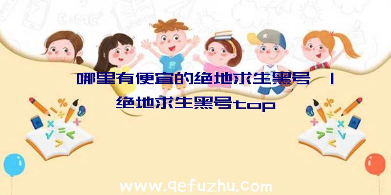 「哪里有便宜的绝地求生黑号」|绝地求生黑号top